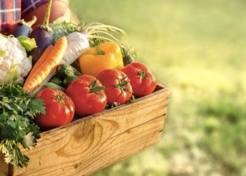 Data Transparency in the Food Supply Chain