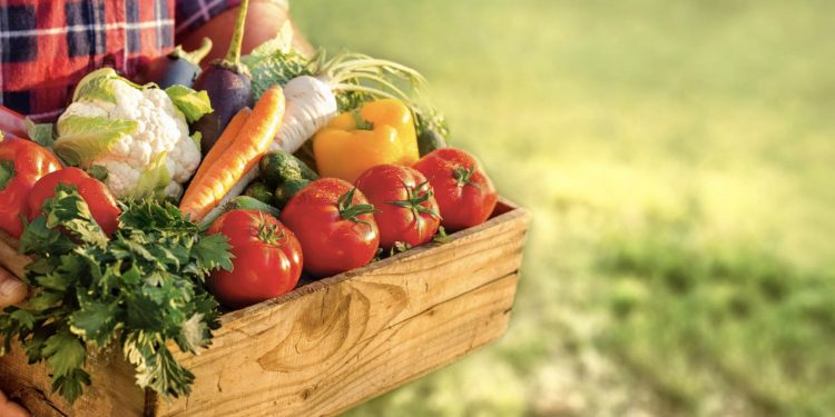 Data Transparency in the Food Supply Chain