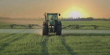 Verified Organic: Food You Can Trust