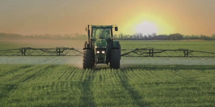 Verified Organic: Food You Can Trust