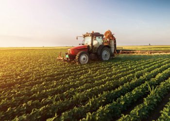 Agriculture: Digital divide prevents widespread use of blockchain