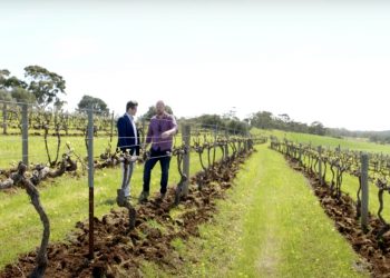 Transforming food and agribusiness industries with Blockchain and emerging technologies