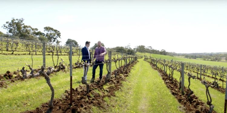 Transforming food and agribusiness industries with Blockchain and emerging technologies