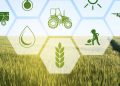Blockchain in agriculture helps reduce cost of transaction, enables fair trade