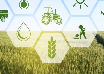 Blockchain in agriculture helps reduce cost of transaction, enables fair trade