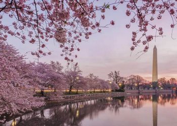 [Video] Blockchain Will Disrupt World’s Biggest Market – Real Estate Is About To Be Tokenized