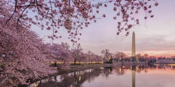 [Video] Blockchain Will Disrupt World’s Biggest Market – Real Estate Is About To Be Tokenized