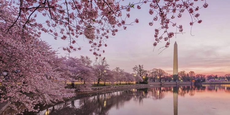 [Video] Blockchain Will Disrupt World’s Biggest Market – Real Estate Is About To Be Tokenized