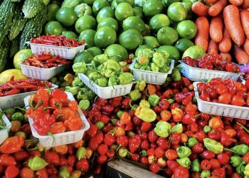 Applications of blockchain technology in the food industry: A new era for the world’s food supply